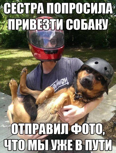 Прикольные картинки (56 фото)