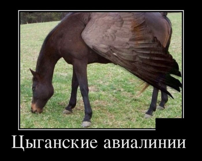Демотиваторы