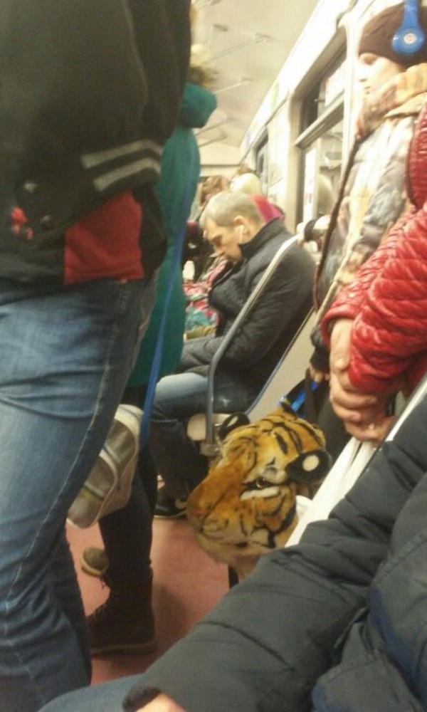 Модники из метрополитена