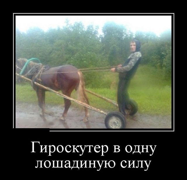 Демотиваторы