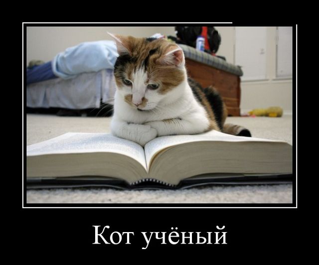 Демотиваторы