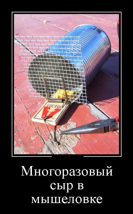 Демотиваторы
