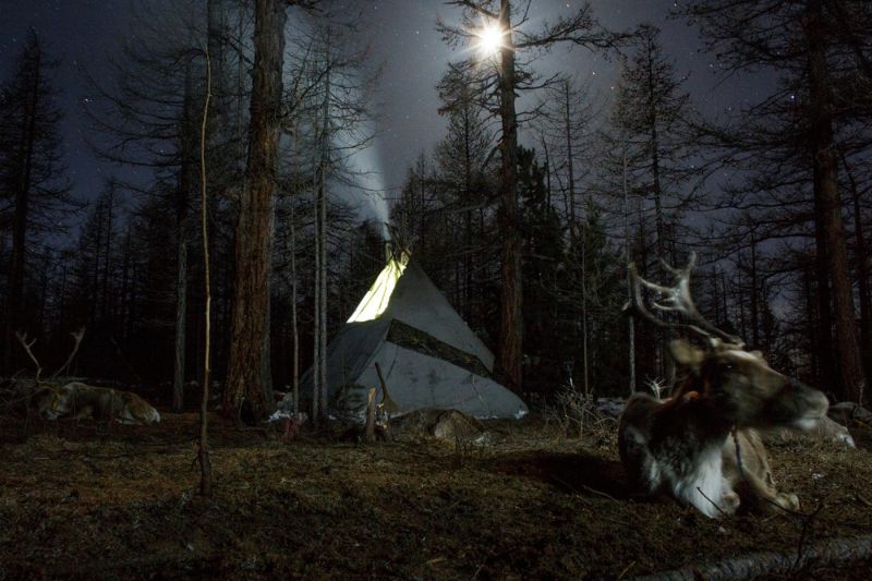Исчезающее племя монгольских оленеводов
