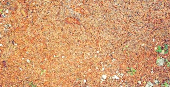 Фото, требующие особого внимания