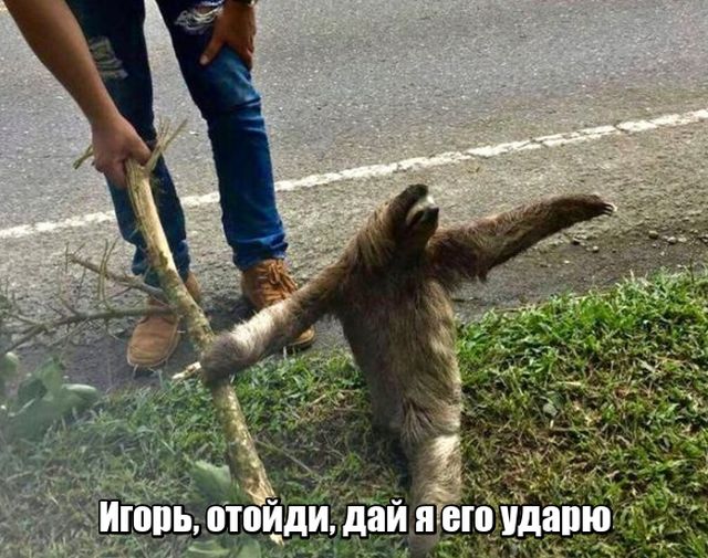Прикольные картинки
