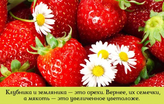 Порция картинок