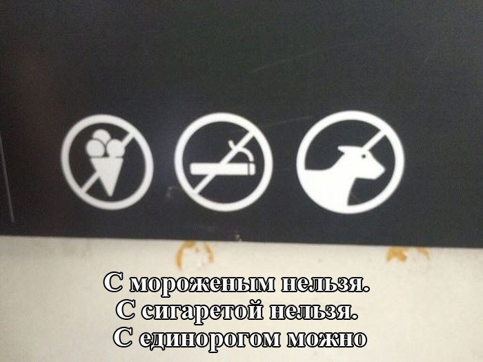 Порция картинок