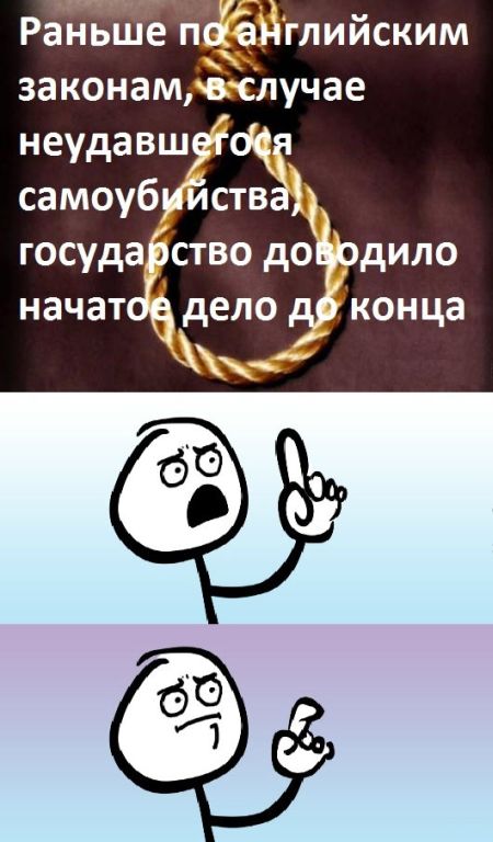 Порция картинок