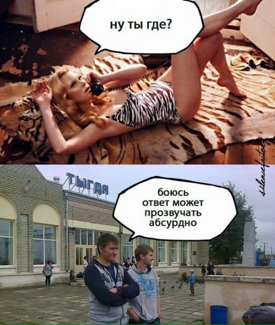 Порция картинок