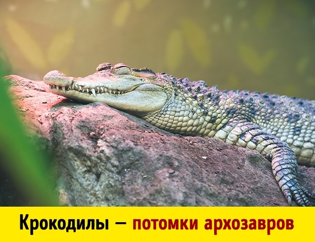 10 фактов о нашей планете, которые вы наверняка услышите впервые