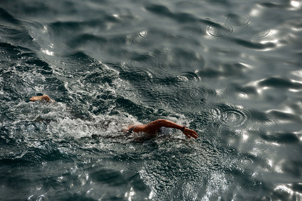 Чемпионат мира по водным видам спорта 2013