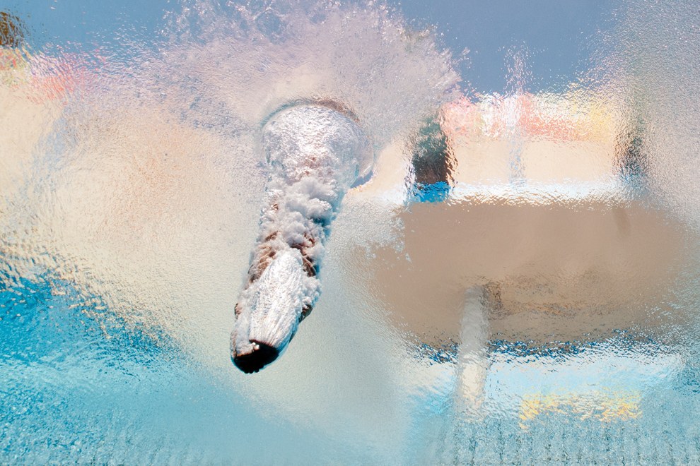 Чемпионат мира по водным видам спорта 2013