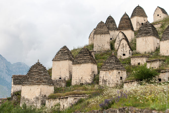 Экскурсия в город 10 000 мертвецов (20 фото)