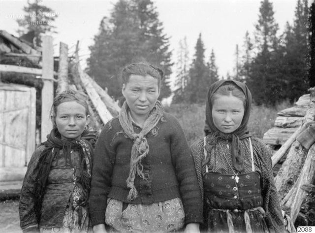 Жизнь крестьян в Архангельской губернии, 1910 год