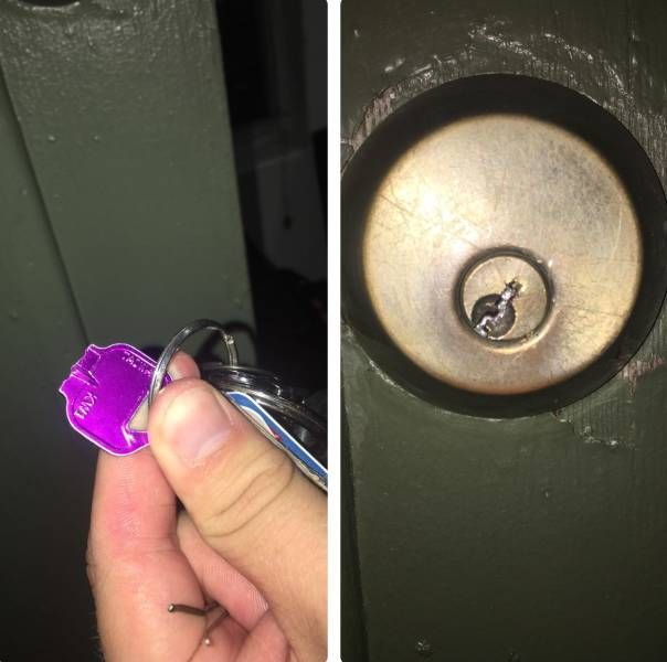 Прикольные картинки