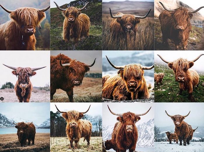 Какие фотографии не стоит публиковать в Instagram