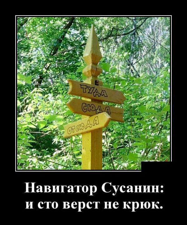 Демотиваторы