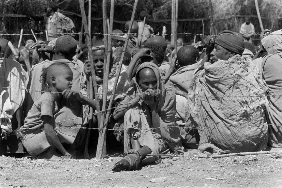 Новейшая история Эфиопии в фотографиях (18 фото) Новейшая история Эфиопии в фотографиях (18 фото)