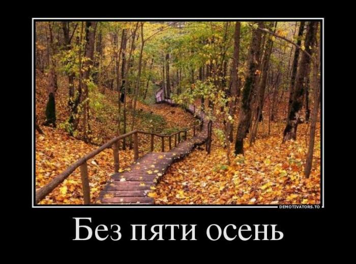 Демотиваторы (53 фото)