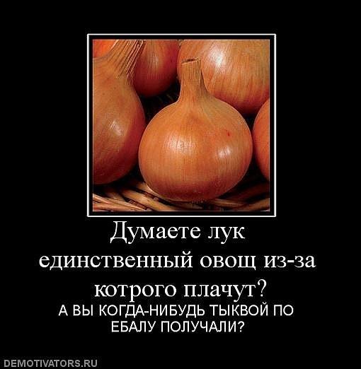 Демотиваторы (53 фото)