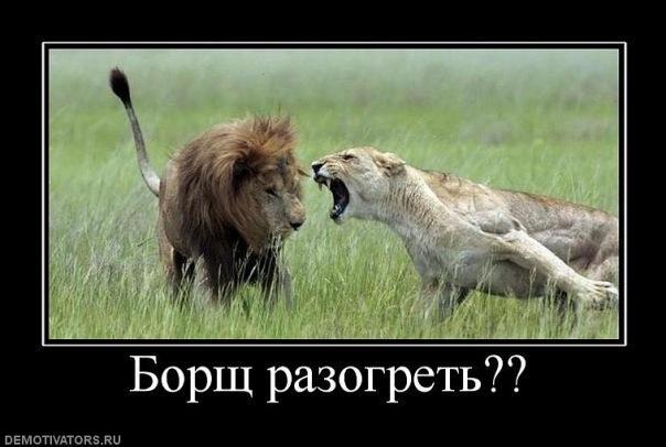 Демотиваторы (53 фото)