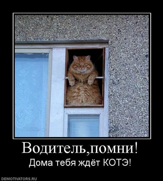 Демотиваторы (53 фото)