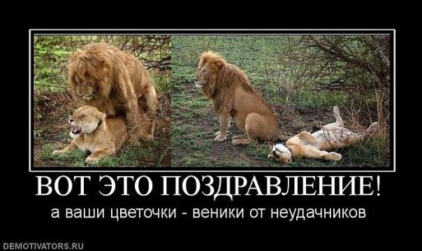 Демотиваторы (53 фото)