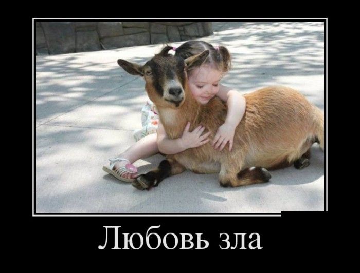 Демотиваторы