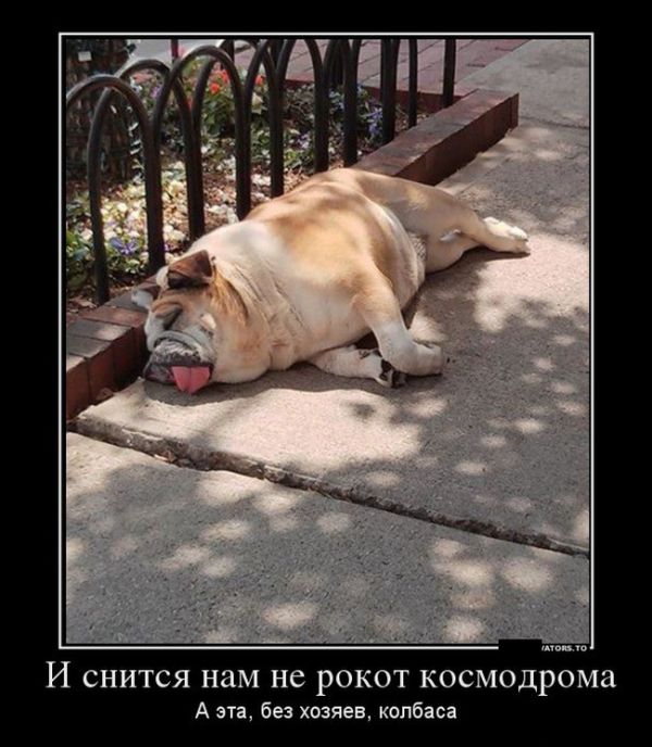 Демотиваторы