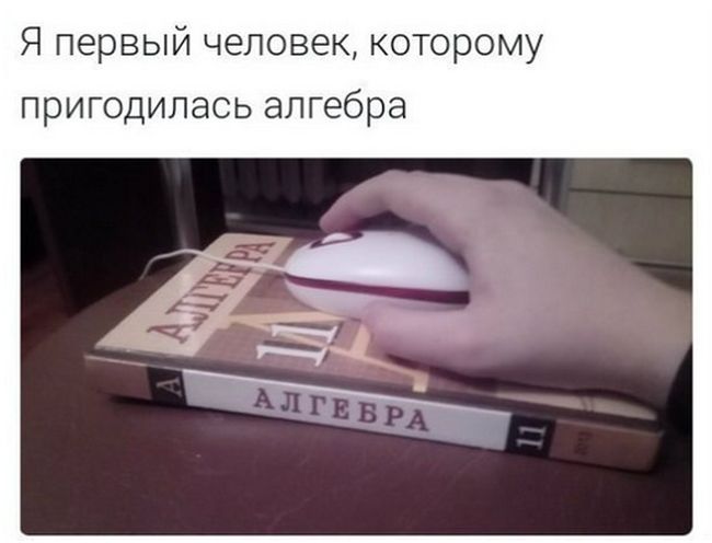 Прикольные картинки