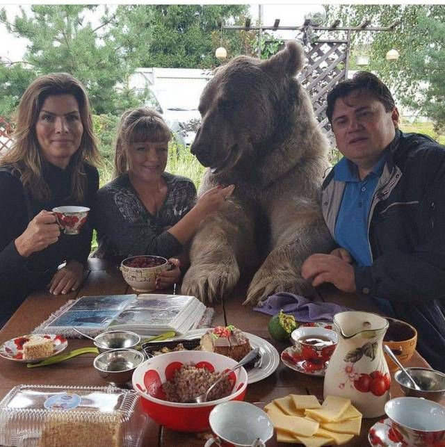 Прикольные картинки