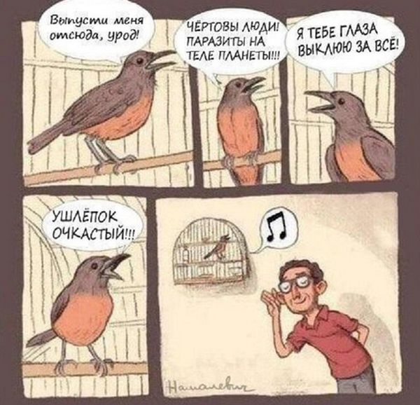 Смешные комиксы