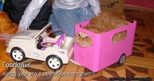 1 сентября - картинки и приколы