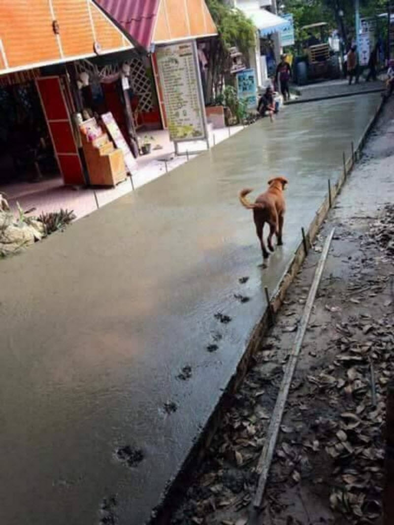 Бывают в жизни огорчения
