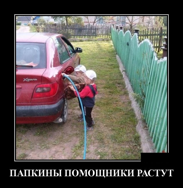 Демотиваторы