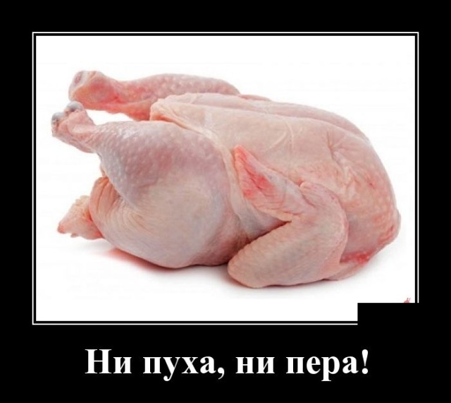 Демотиваторы