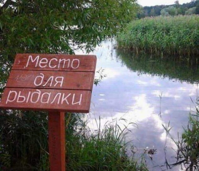 Странный, но забавный юмор из социальных сетей