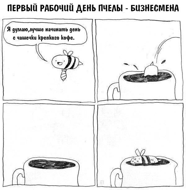 Странный, но забавный юмор из социальных сетей