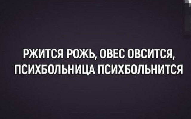 Странный, но забавный юмор из социальных сетей