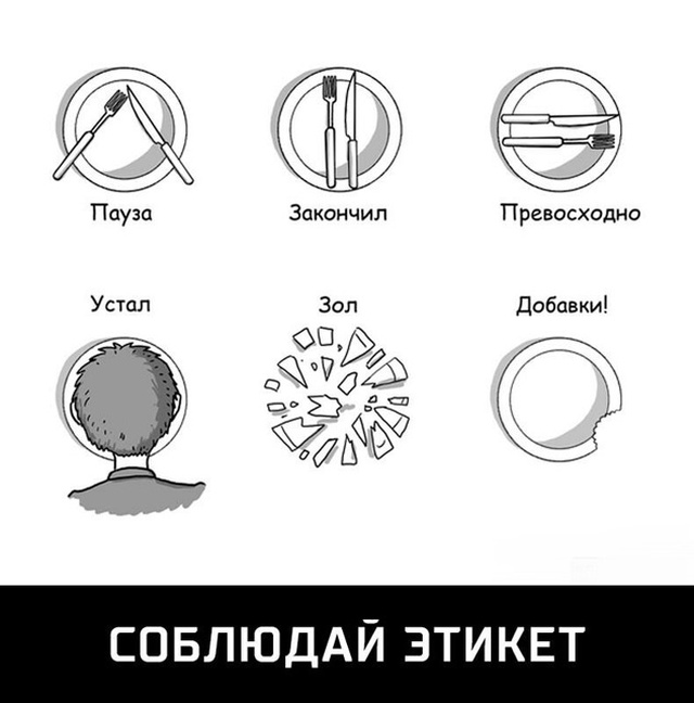 Странный, но забавный юмор из социальных сетей