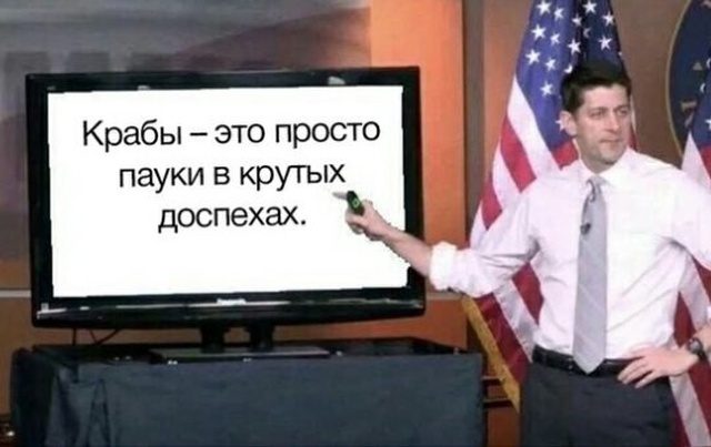 Странный, но забавный юмор из социальных сетей