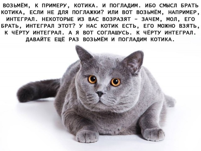 Странный, но забавный юмор из социальных сетей