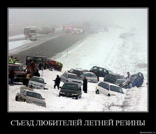 Демотиваторы (51 фото)