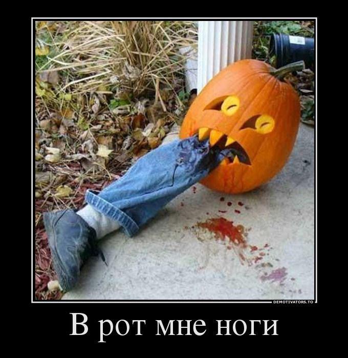 Демотиваторы (51 фото)