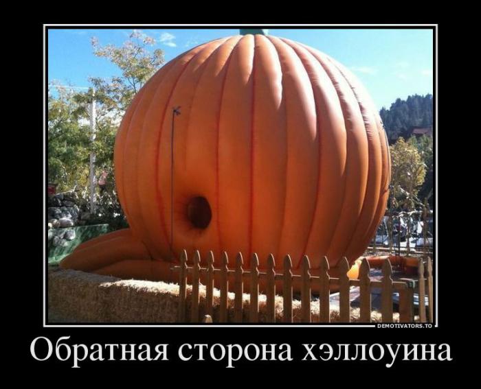 Демотиваторы (51 фото)
