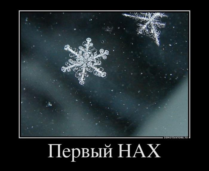 Демотиваторы (51 фото)
