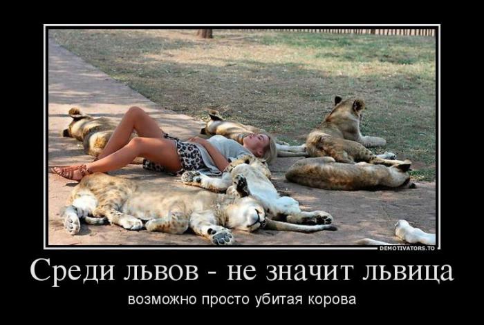 Демотиваторы (51 фото)