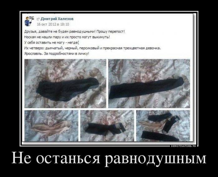 Демотиваторы (51 фото)