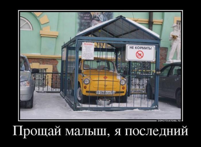 Демотиваторы (51 фото)