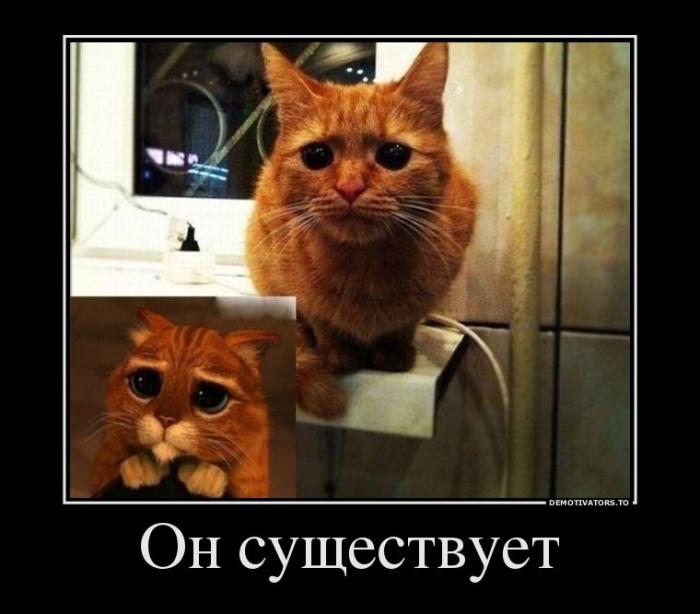 Демотиваторы (51 фото)